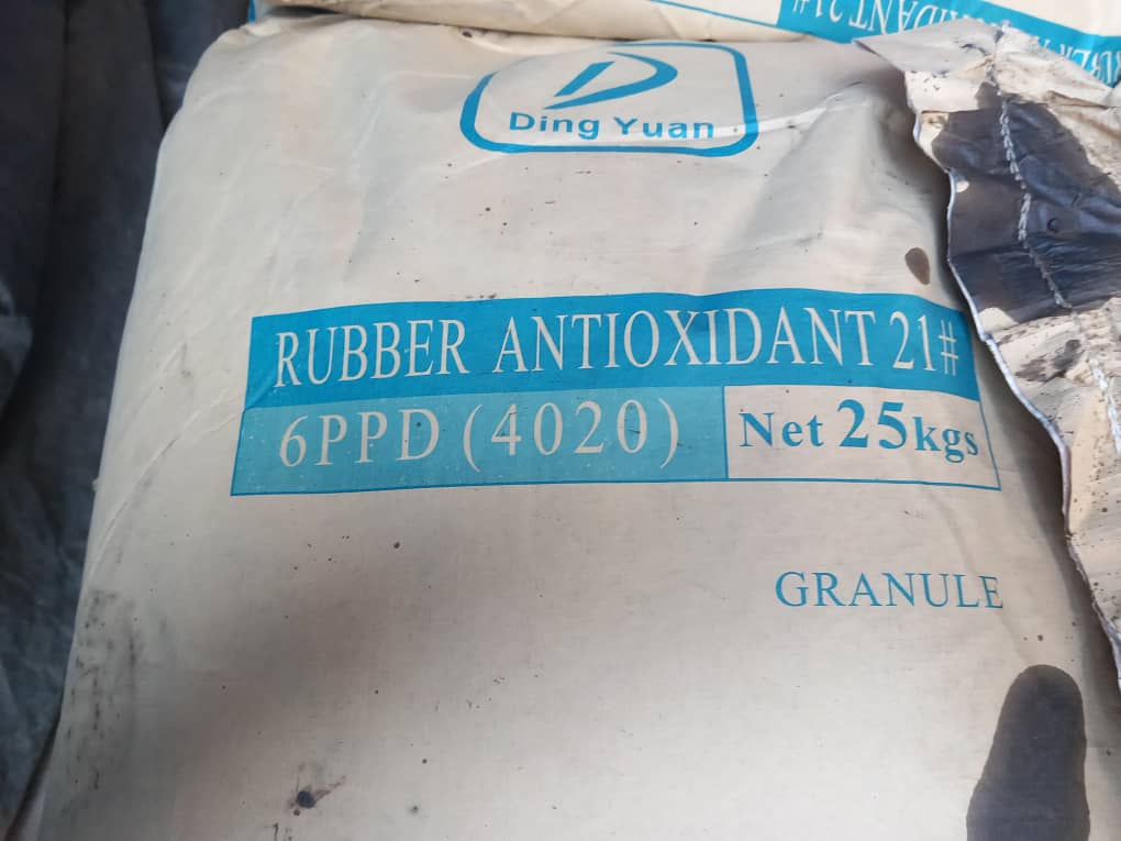 WhatsApp Image 2024-09-10 at 9.37.37 AM (2)